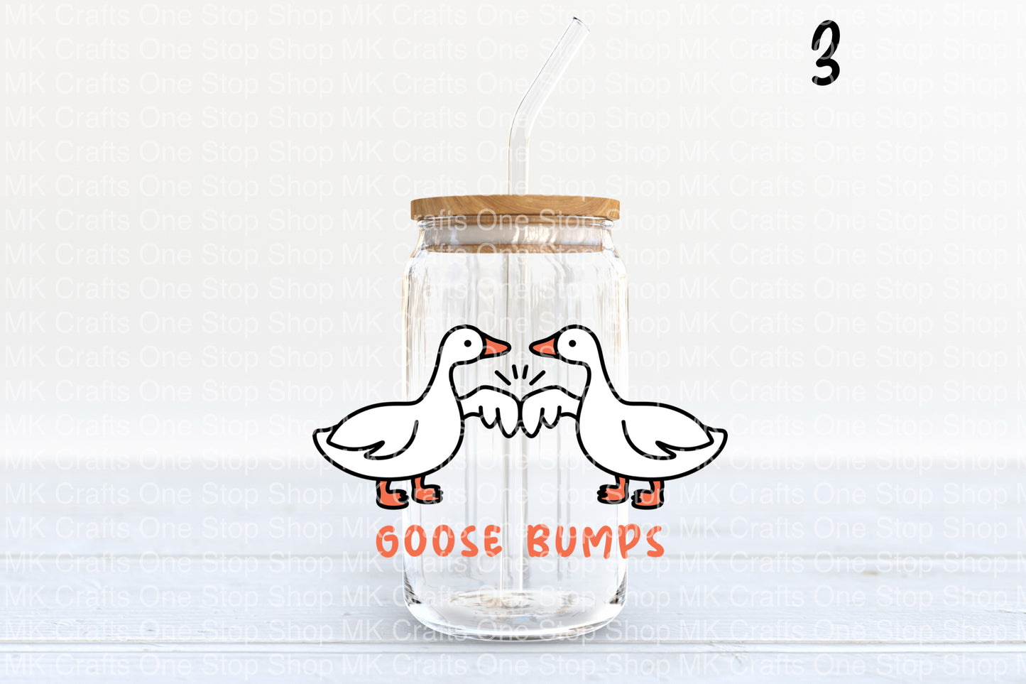 Cute Geese (10 Variations) 16oz Glass Tumbler w/Bamboo Lid and Glass Straw