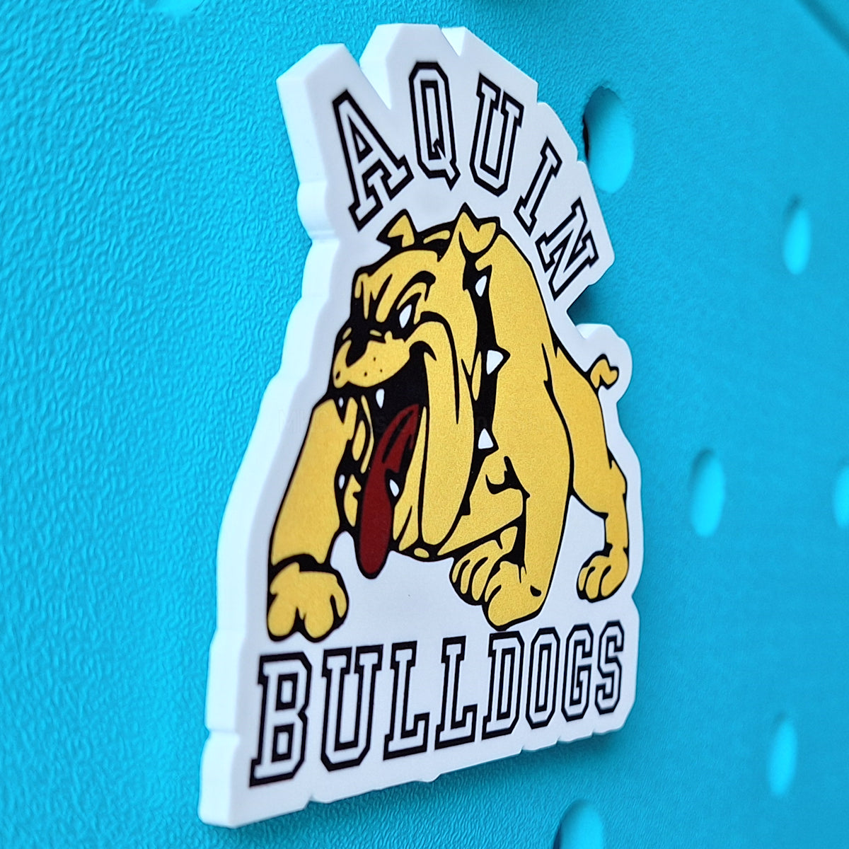 Aquin Bulldogs Bogg Charm