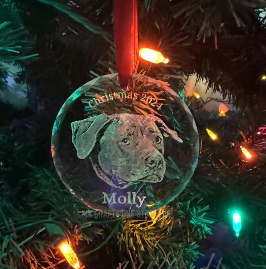Pet Portrait Crystal Glass Ornament